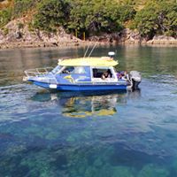 Glass Bottom Boat Whitianga Scenic Cruise